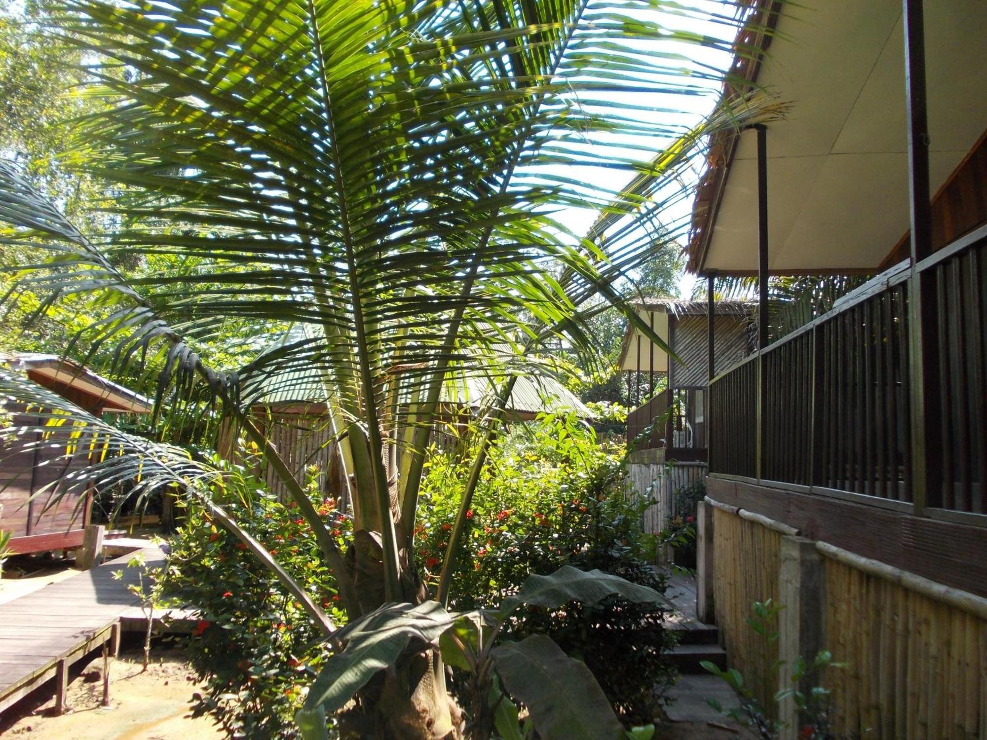 Hotel Restaurant Gites Kribi Buitenkant foto